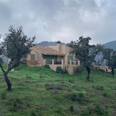 Alojamiento Rural En Aracena. Finca El Rehilete Exterior foto